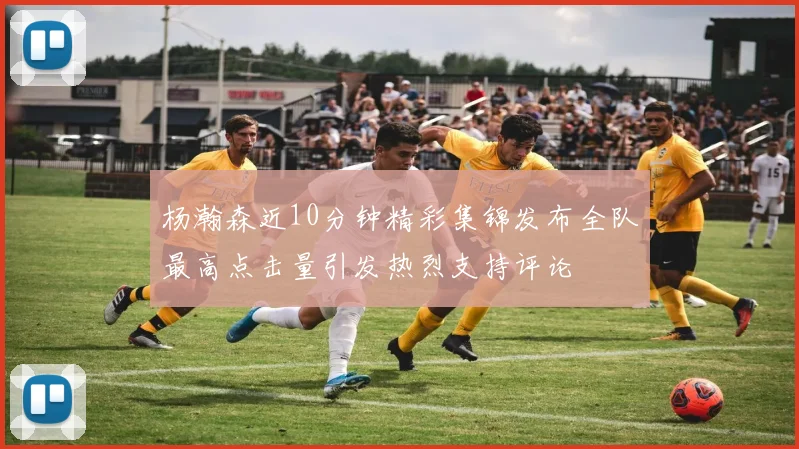 杨瀚森近10分钟精彩集锦发布全队最高点击量引发热烈支持评论