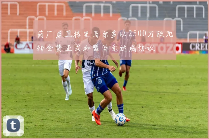 药厂后卫格里马尔多以2500万欧元转会费正式加盟马竞达成协议